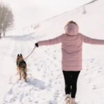 How to Keep Your Dog Safe During Winter Walks