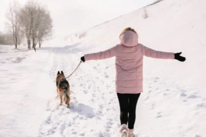 How to Keep Your Dog Safe During Winter Walks