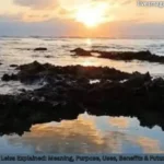 Portar Leisa